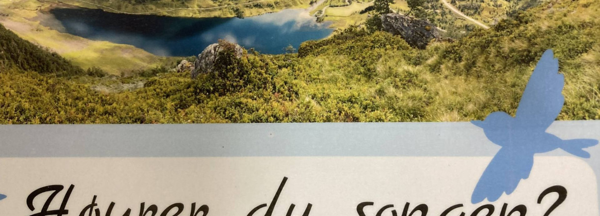Høyrer du songen?