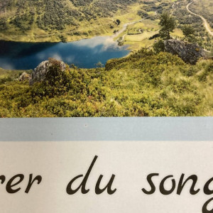 Høyrer du songen?